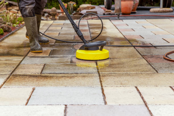 Best Soft Washing for Delicate Surfaces in Southmayd, TX